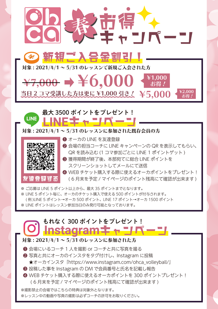春キャンチラシ