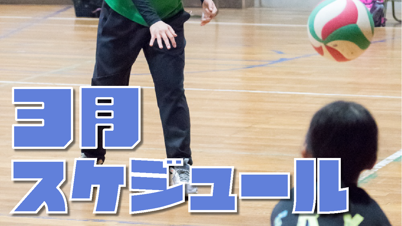 宮城のバレーボールクラブ&スクール 3月の開催スケジュール